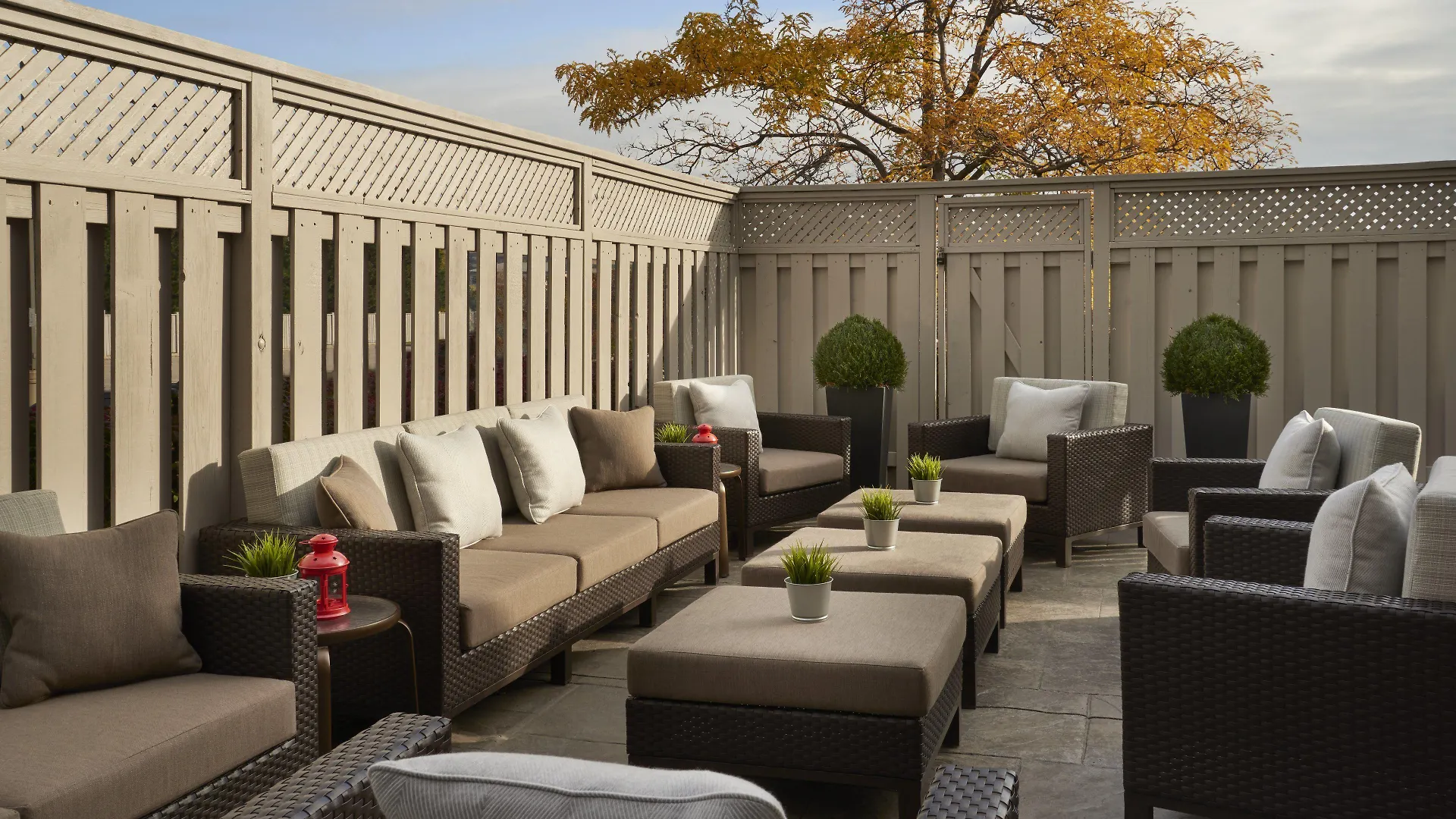 Hotel Courtyard By Marriott Toronto Airport